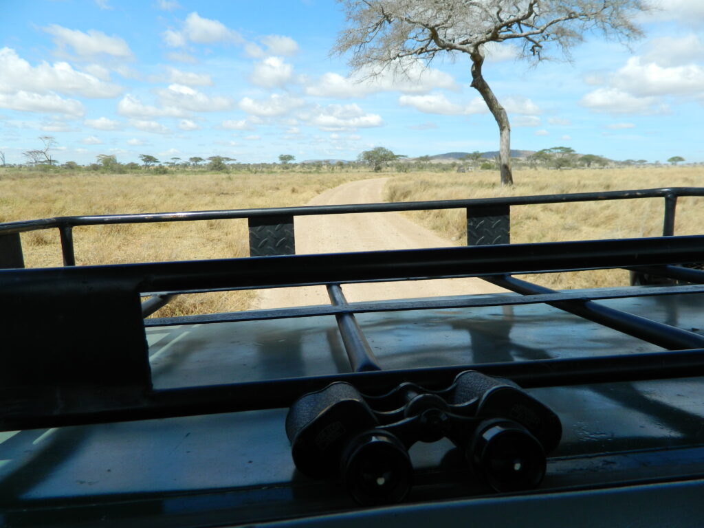 An image of binoculars on a vehicle while on safari 