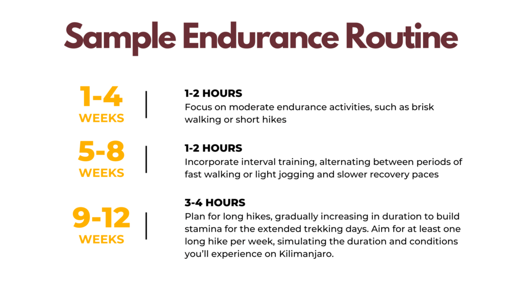 Sample of Endurance Routine for Afrika Explorer